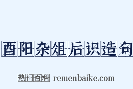 酉阳杂俎后识造句是什么意思的图片
